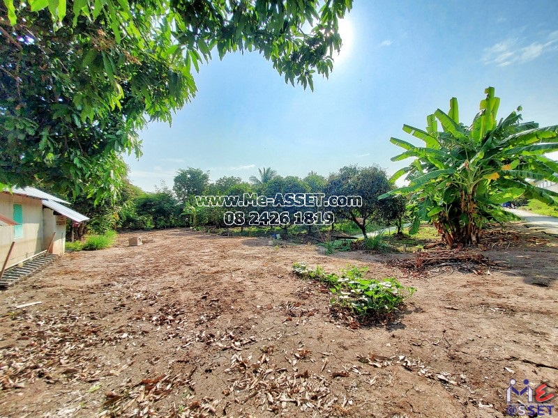 ขายที่ดินถมแล้ว ย่าน ลานตากฟ้า มหาสวัสดิ์ งิ้วราย ดาวทอง : ใกล้ ม.พฤกษา 4 : 200 ตารางวา