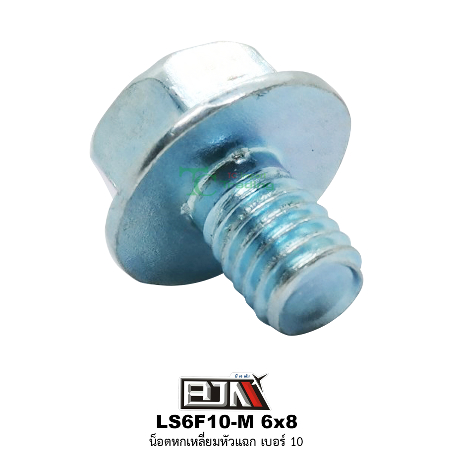 LS6F10-M 6x8 น็อตหกเหลี่ยมหัวแฉกเบอร์ 10 ( 1 ถุงมี 50 ตัว )