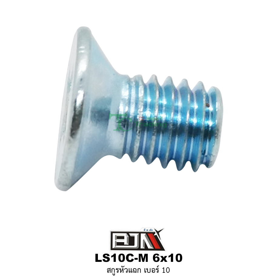 LS10C-M 6x10 สกูรหัวแฉก เบอร์ 10 ( 1 ถุงมี 50 ตัว )