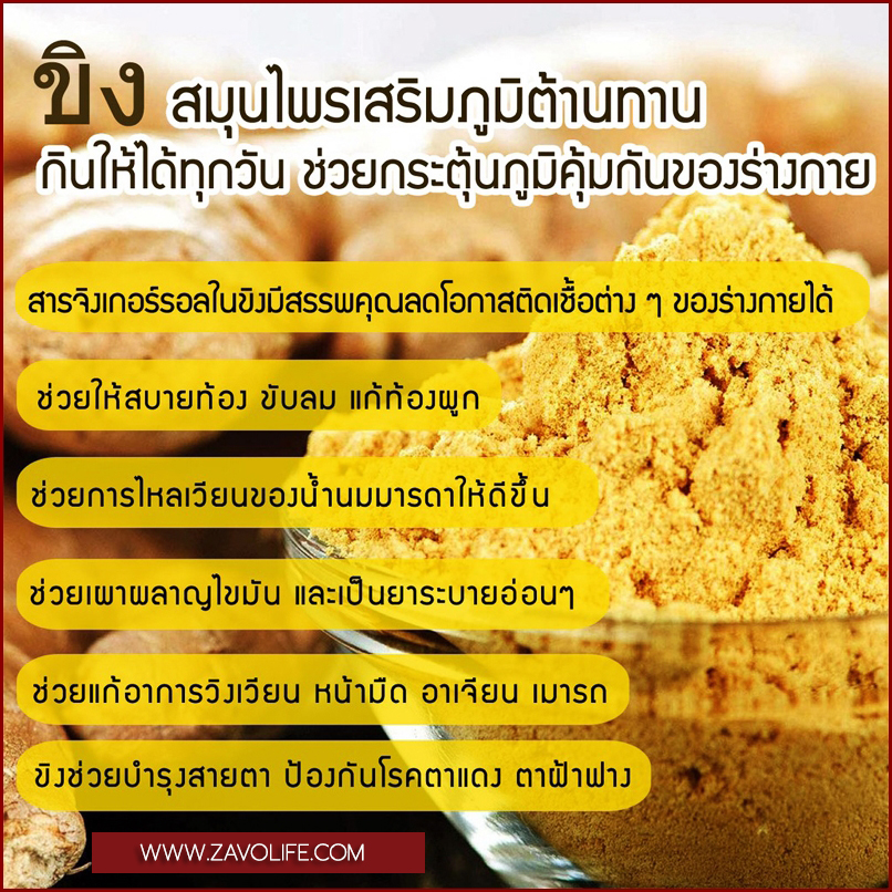 ขิงผง100% บดละเอียด ไม่มีน้ำตาล ดื่มเพื่อสุขภาพ [น้ำหนัก 500 กรัม]