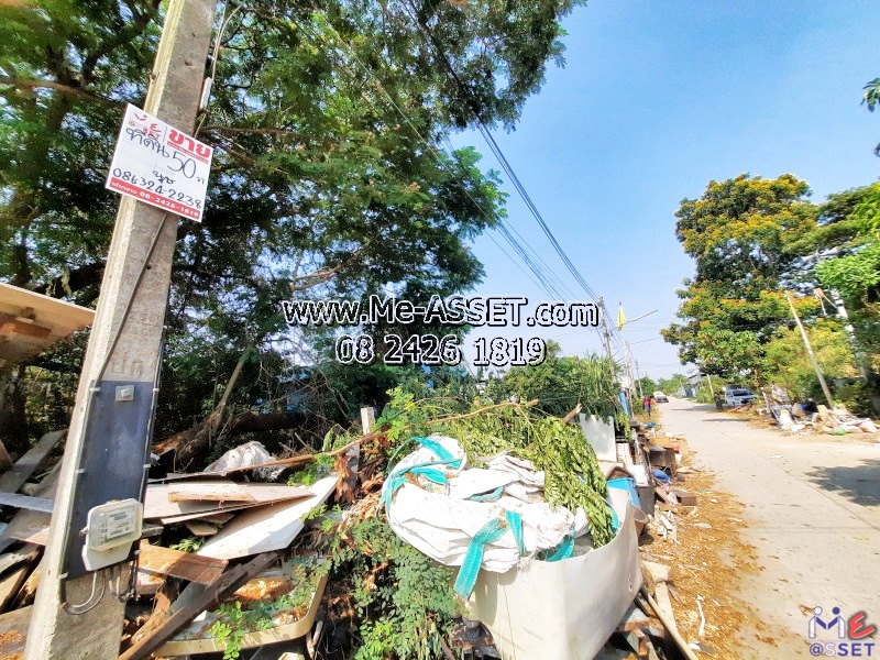 ขายที่ดินเปล่า ย่าน หมู่บ้านศรีวังน้อย โรจนะ ลำตาเสา อยุธยา : ใกล้ ช.วิมลการช่างสแตนเลส และบริษัทโกลเด้นดีพ (ประเทศไทย) : 50 ตร.วา