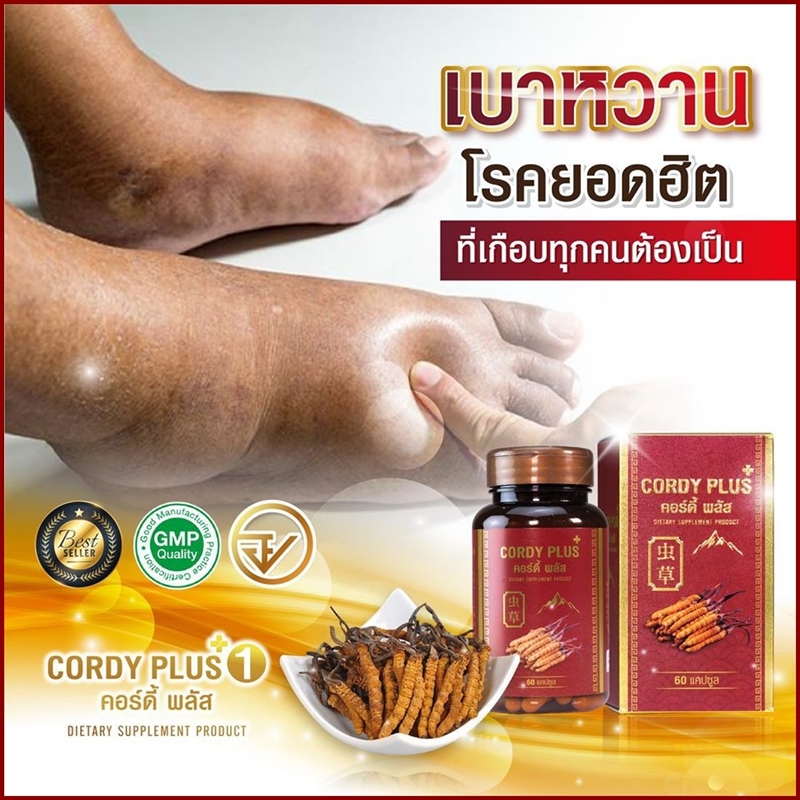 คอร์ดี้ พลัสวัน (Cordy Plus1) ถั่งเช่าทิเบตแท้100% สารสกัดเกรดพรีเมี่ยม ผลิตภัณฑ์เสริมอาหาร บำรุงร่างกาย (60 แคปซูล)