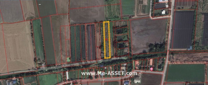 ขายที่ดิน สวนส้มโอ ถ.เลียบคลองบางกระบ้า ต.ลานตากฟ้า อ.นครชัยศรี นครปฐม / พื้นที่ 1-2-90 ไร่