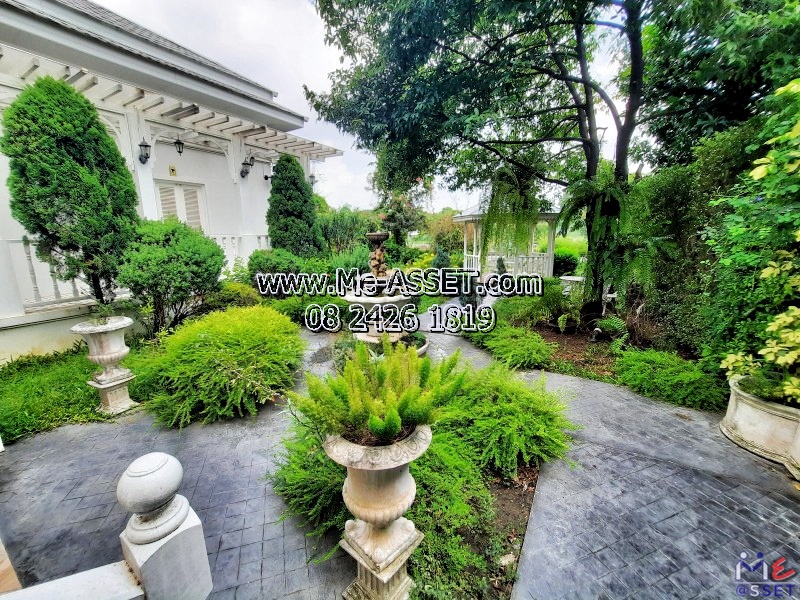 ขายที่ดินพร้อมสิ่งปลูกสร้าง ย่าน สวนตะไคร้ สนามจันทร์ พระปฐมเจดีย์ เซ็นทรัลนครปฐม : ใกล้มหาวิทยาลัยศิลปากร : 1.5 ชั้น 197 ตร.วา