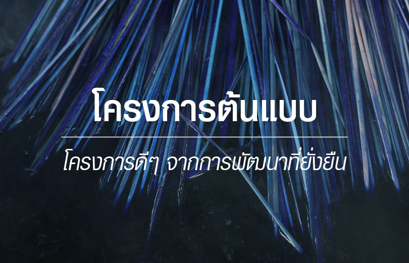 โครงการต้นแบบ