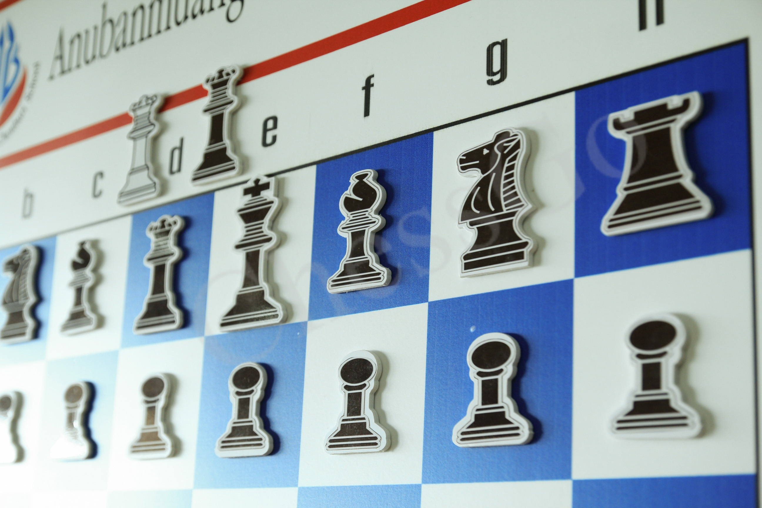 กระดานสอนหมากรุกสากล(สั่งทำ)