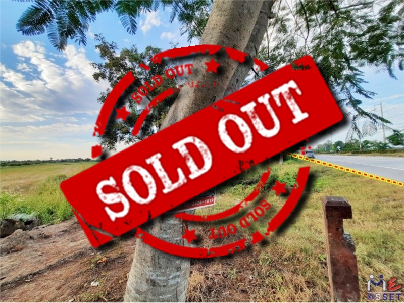 ขายที่ดินเกษตร ย่าน ไร่รถ หนองนา จิกรากข่า หนองแจง ดอนเจดีย์ อำเภอเมือง สุพรรณบุรี : ใกล้ อบต.ไร่รถ : 13 ไร่