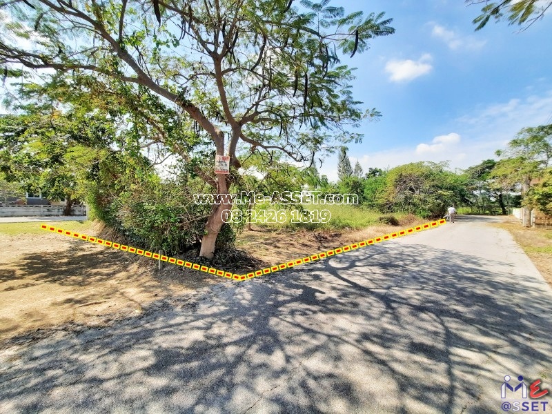 ขายที่ดินถมแล้ว ย่าน ปึกเตียน ชะอำ เจ้าสำราญ คลองโคน ท่ายาง เพชรบุรี : บางชองมารีน่า ชะอำ : 176 ตารางวา