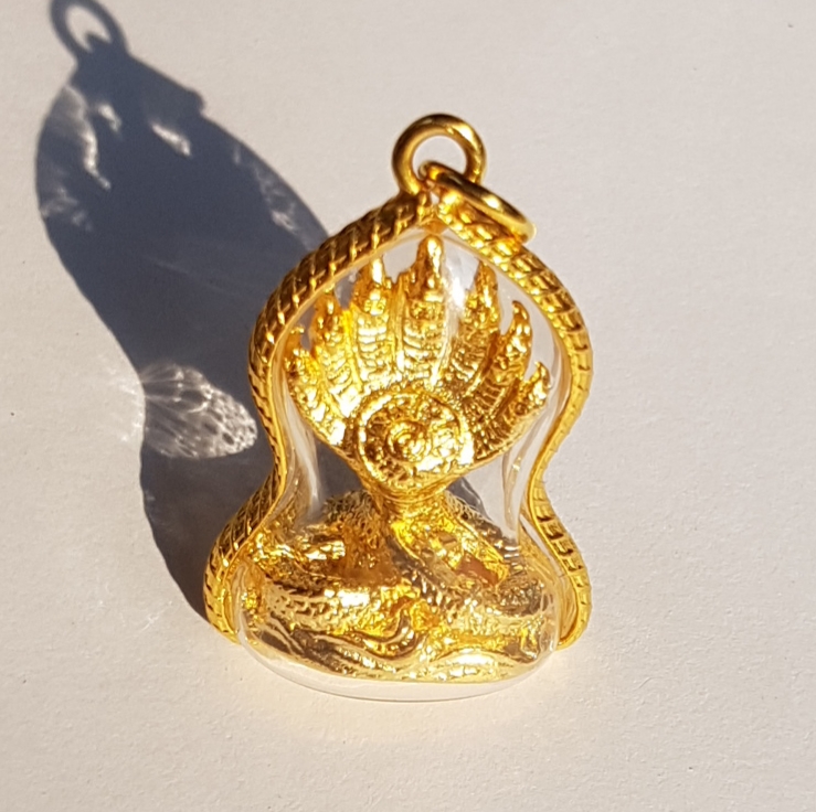 จี้พญานาคเจ็ดเศียรเล็ก พร้อมกรอบกันน้ำห้อยคอ โชคลาภถูกเลขเบอร์ใหญ่ ปลุกเสกแล้ว (ไม่รวมสร้อย) มีของพร้อมส่งคะ ฟรียันต์