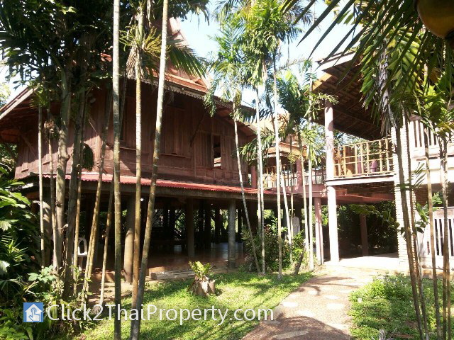 ขายบ้านเรือนไทยสวนธรรมหาดเสลา พร้อมที่ดิน เนื้อที่กว่า 5 ไร่ ติดริมแม่น้ำปิง ต.เขาดิน อ.เก้าเลี้ยว จ.นครสวรรค์