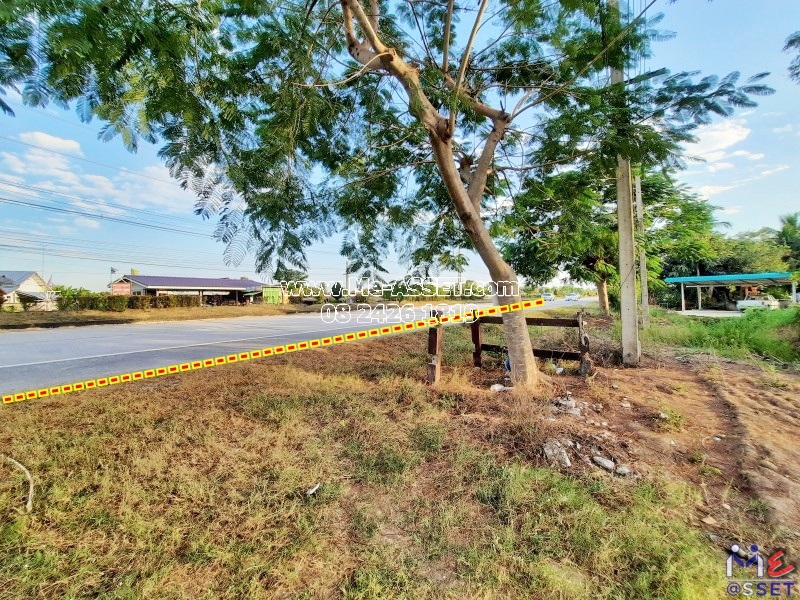 ขายที่ดินเกษตร ย่าน ไร่รถ หนองนา จิกรากข่า หนองแจง ดอนเจดีย์ อำเภอเมือง สุพรรณบุรี : ใกล้ อบต.ไร่รถ : 13 ไร่