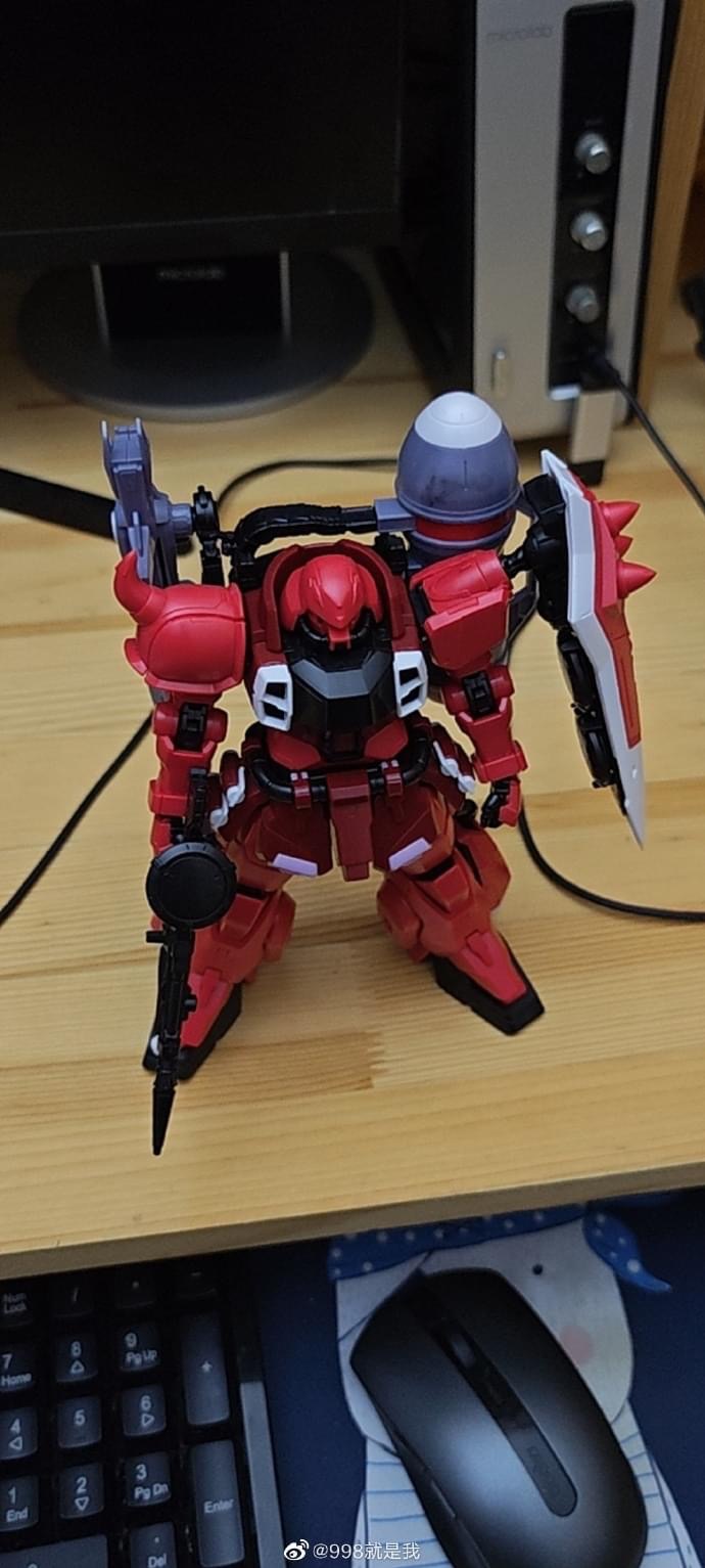 MG 1/100 Gunner Zaku Warrior (Lunamaria Hawke Custom) [Flash Model]