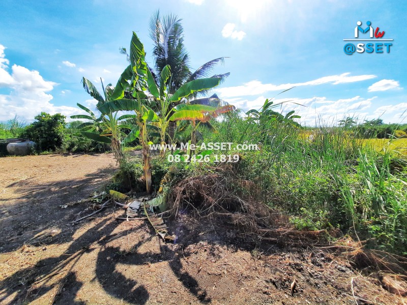 ขายที่ดินพร้อมสิ่งปลูกสร้าง ย่าน วังเย็น บางแขม อำเภอเมืองนคปฐม : ใกล้สนามกอล์ฟยูนิแลนด์ : 2-0-49.2 ไร่