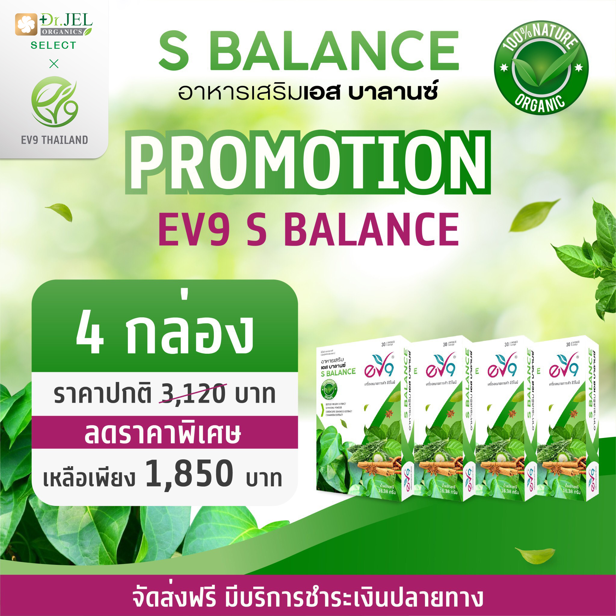 ผลิตภัณฑ์เสริมอาหาร ควบคุมเบาหวาน ลดน้ำตาลในเลือด สาเหตุหลักของผู้ป่วยเบาหวาน(ชุด 4 กล่อง)