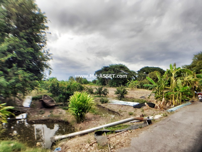 ขายที่ดิน สวนส้มโอ ถ.เลียบคลองบางกระบ้า ต.ลานตากฟ้า อ.นครชัยศรี นครปฐม / พื้นที่ 1-2-90 ไร่