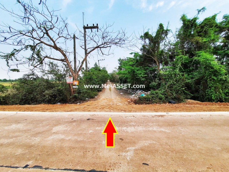 ขายที่ดินถมแล้ว ย่าน ดอนฉิมพลี บางน้ำเปรี้ยว วัดพืชอุดม ลำลูกกา คลอง 16 : ถ.ลำลูกกา คลอง 16 : 83.5 ตารางวา (มี 2 แปลงติดกัน)