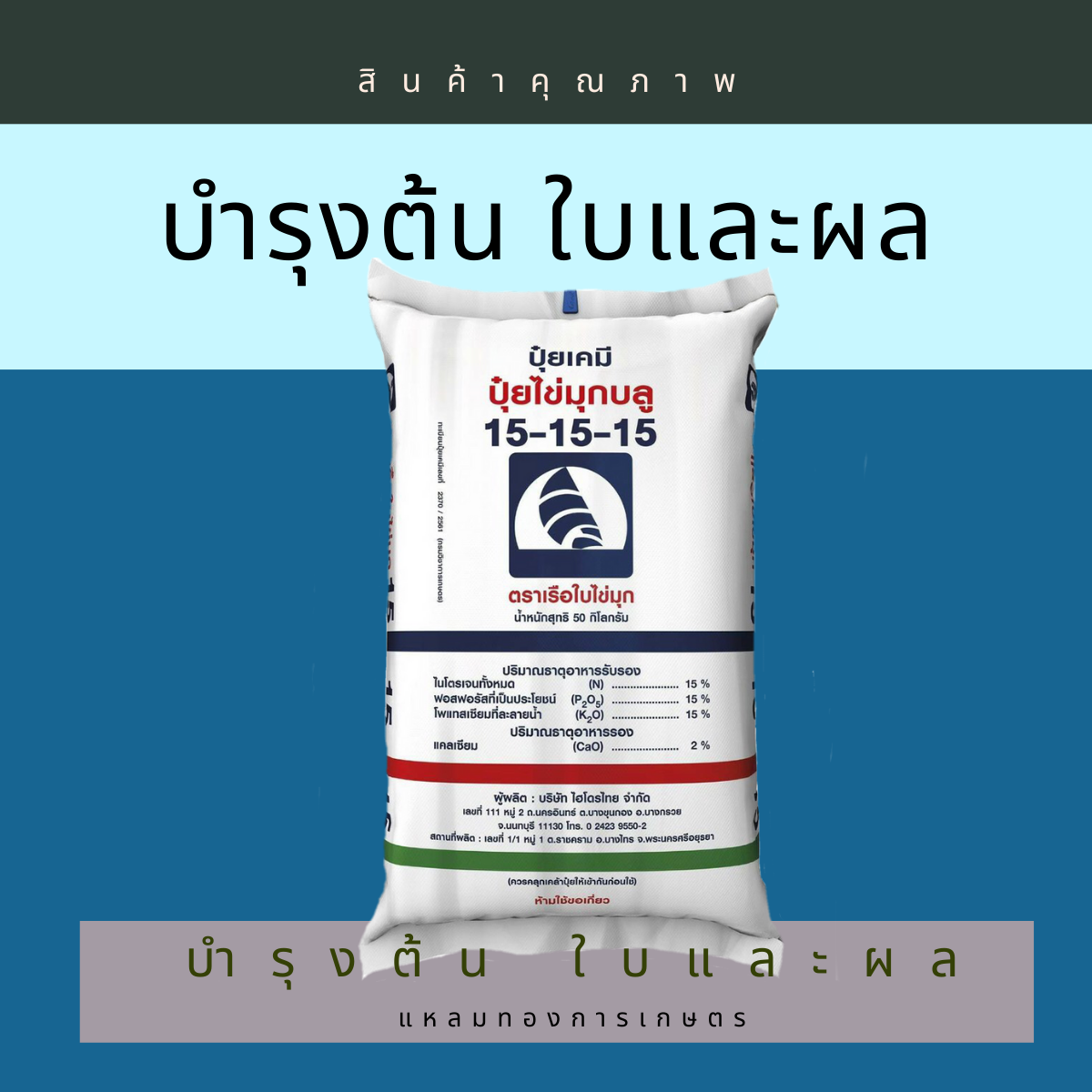 15-15-15(Blue) เรือใบ ไข่มุก