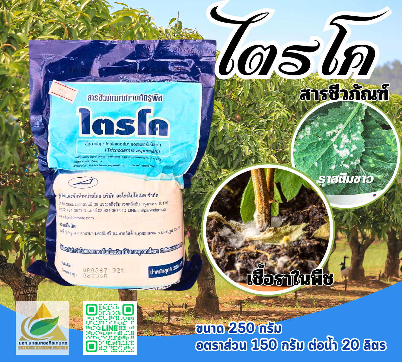 ไตรโค สารกำจัดเชื้อรา รักษาโรครากน่า 250 กรัม