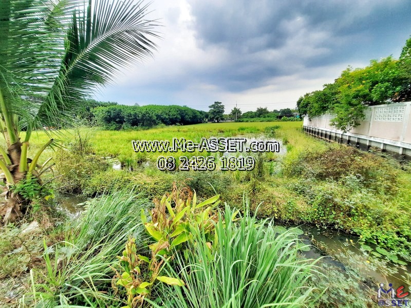 ขายที่ดินเปล่า ย่าน ดาวทอง เฉลิมนิเวศน์ ศาลายา พุทธมณฑล นครปฐม : ใกล้สนามกอล์ฟรอยัลเจมส์ : 183.6 ตร.วา