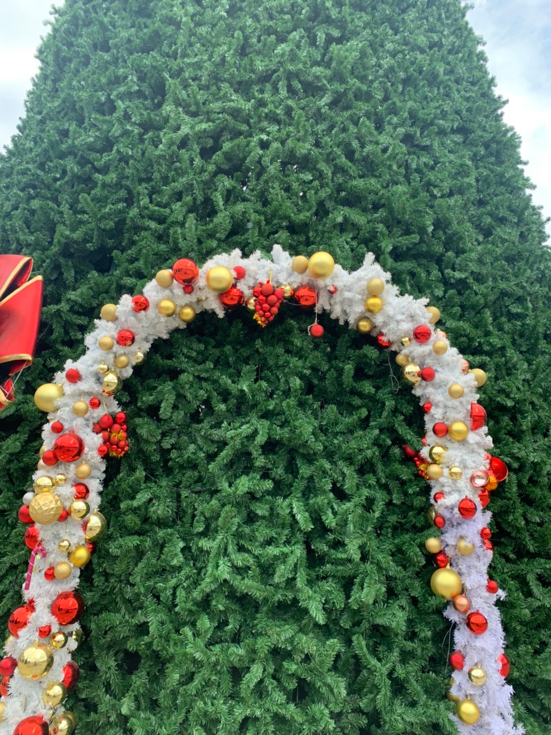 ซุ้มคริสต์มาสประดับใบสีขาว