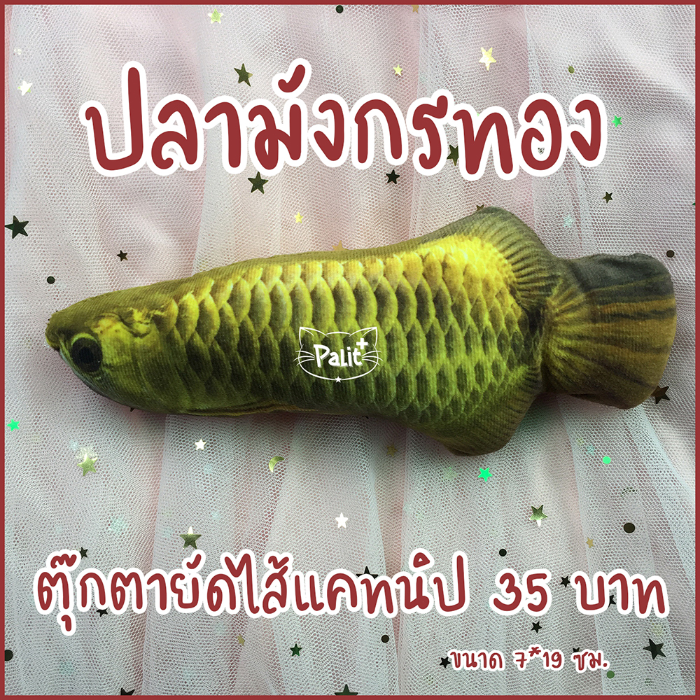 ปลามังกรทองแคทนิป