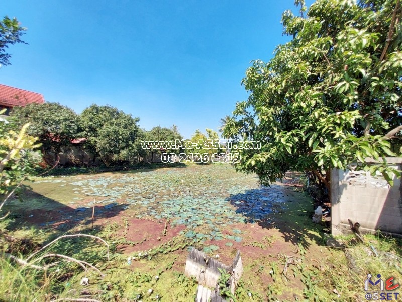 ขายที่ดินพร้อมสิ่งปลูกสร้าง ย่าน คลองโยง ศาลายา มหาสวัสดิ์ ดาวทอง : ใกล้ตลาดกิเลน : 1-0-10 ไร่
