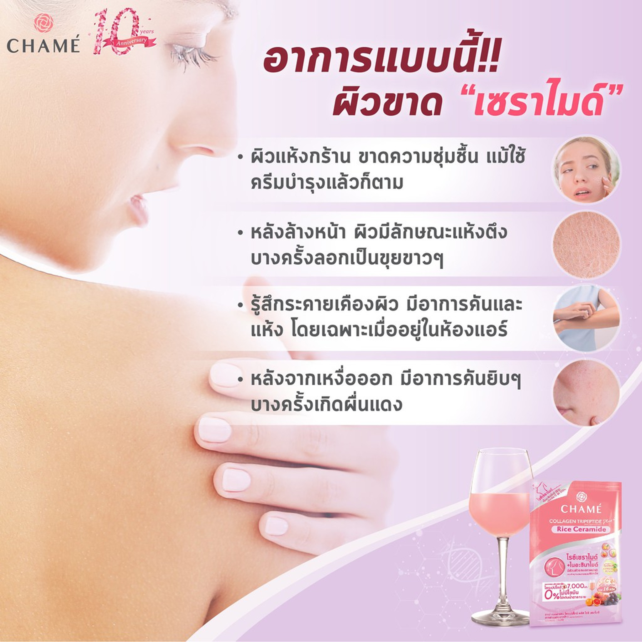 แท้พร้อมส่ง‣ (กล่อง6ซอง) CHAME Collagen Tripeptide Plus Rice Ceramide ชาเม่ คอลลาเจน ไตรเปปไทด์ พลัส