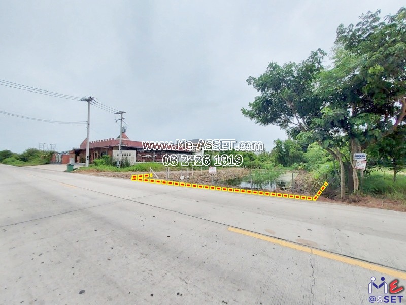 ขายที่ดินเปล่า ย่าน วัดมะเกลือ บางแก้วฟ้า คลองโยง ห้วยพลู ลานตากฟ้า : ใกล้คาเฟ่แมว Play With Cat Cafe : 169 ตร.วา