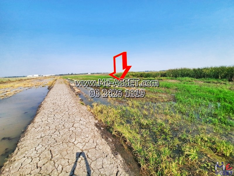 ขายที่ดินติดถนนคอนกรีต ย่าน คลองสิบ บึงทองหลาง ลำลูกกา ปทุมธานี : ใกล้วัดนาป่่าพง : 24-3-41 ไร่