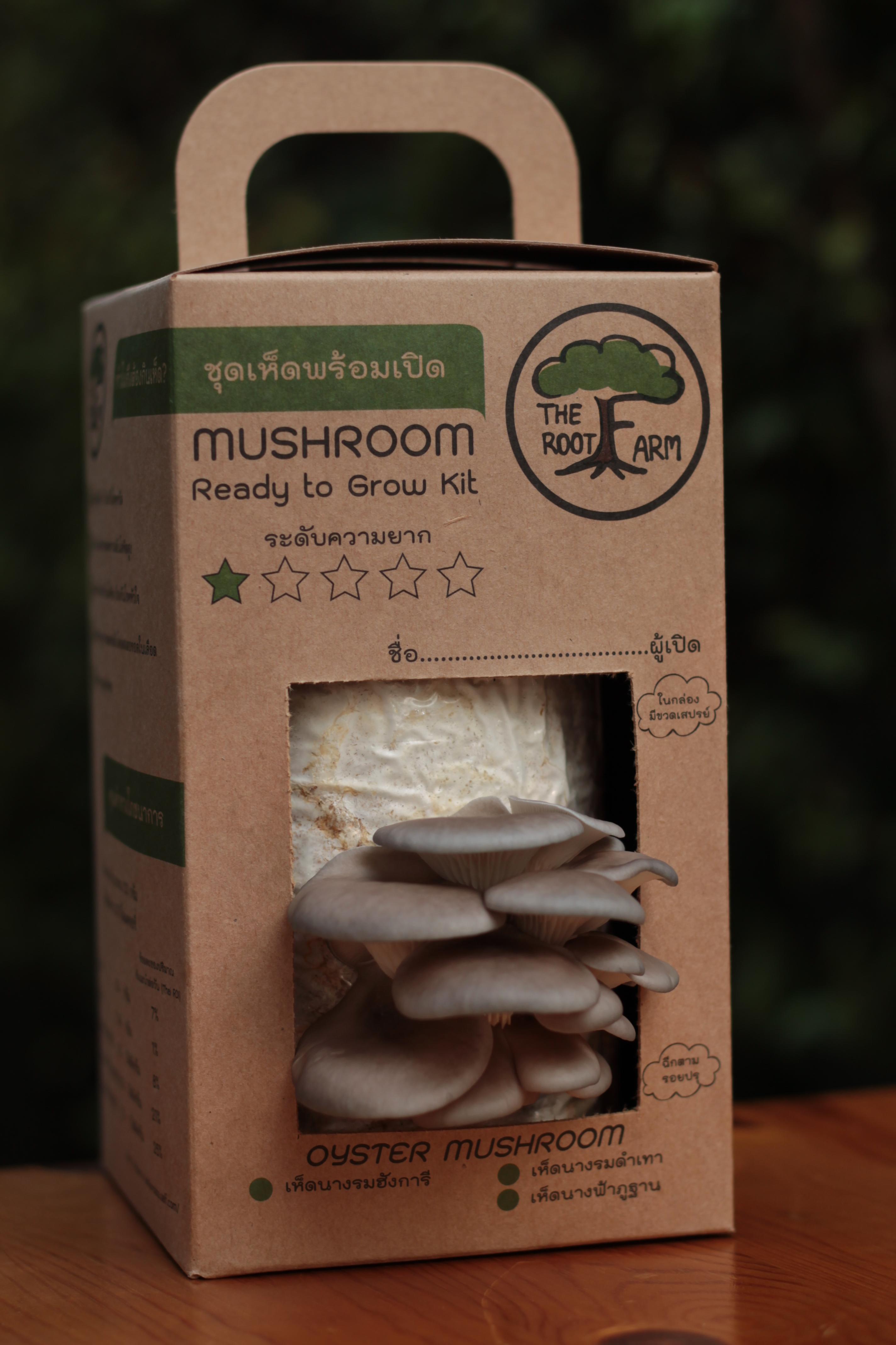 ชุดคิทเห็ดนางรมเทาพร้อมเปิด (Mushroom Ready To Grow Kit)