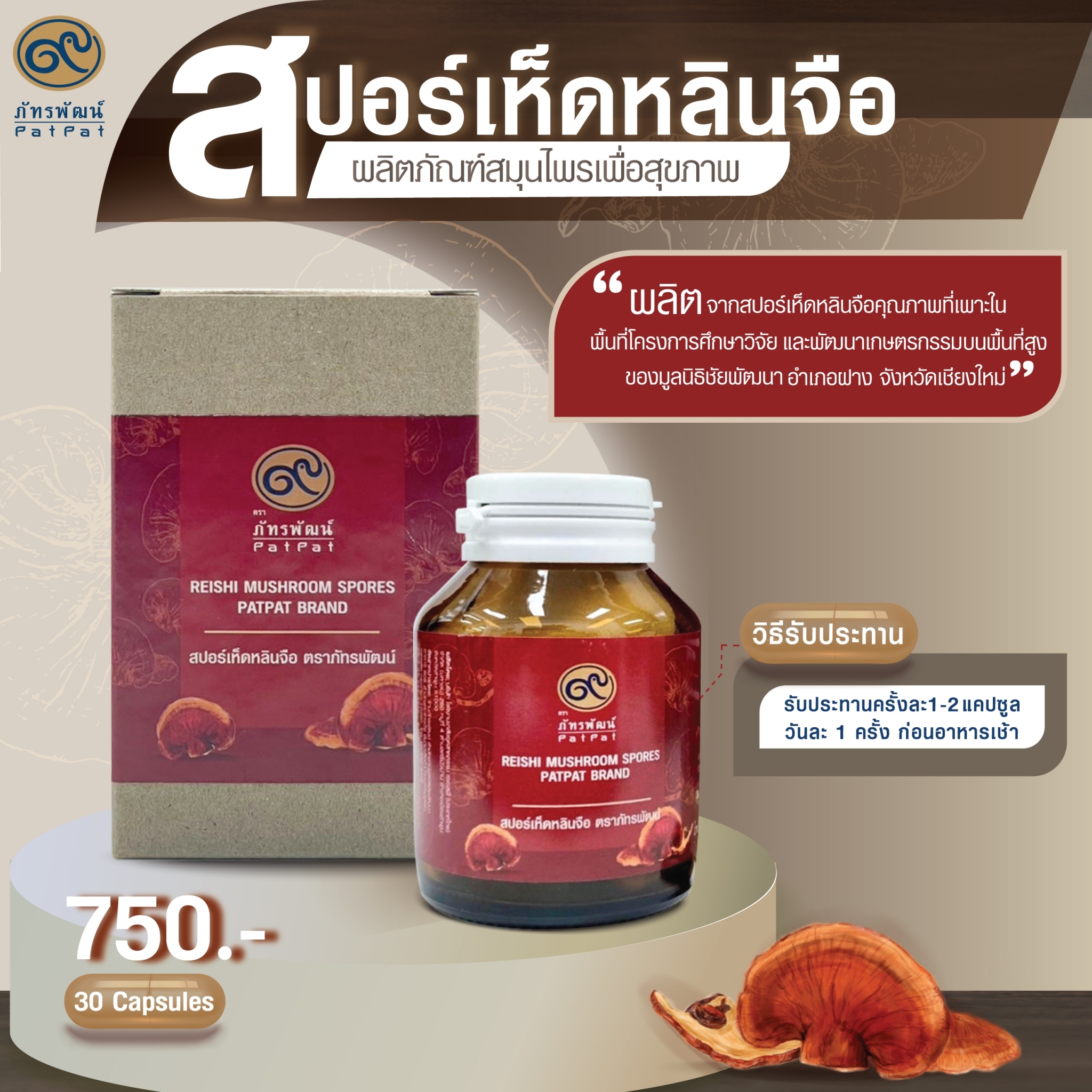 สปอร์เห็ดหลินจือ ภัทรพัฒน์