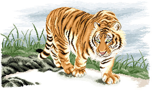 Tiger (ไม่พิมพ์/พิมพ์ลาย)