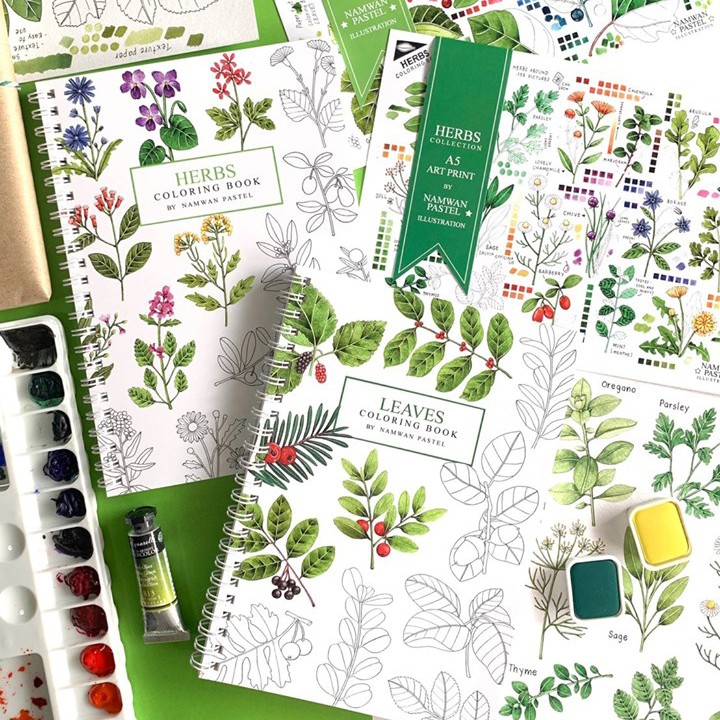 สมุดระบายสี สีน้ำ สีไม้ NAMWAN PASTEL สอนระบายสี ขนมเค้ก / ไอศกรีม / ดอกไม้ / ใบไม้