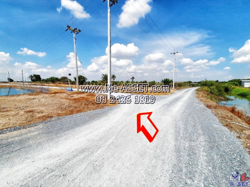 ขายที่ดินนาข้าว ย่าน กระตีบ บ้านหัวดอนคา ห้วยม่วง กำแพงแสน นครปฐม : ใกล้ตลาดบางหลวง ร.ศ.122 : 72-0-92 ไร่