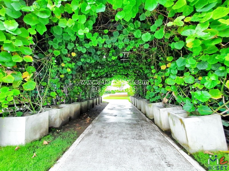 ขายและเช่า คอนโด ใกล้รถไฟฟ้า ย่าน วงศ์สว่าง บางซื่อ บางซ่อน : แอสปาย รัชดา-วงศ์สว่าง : 26.12 ตารางเมตร