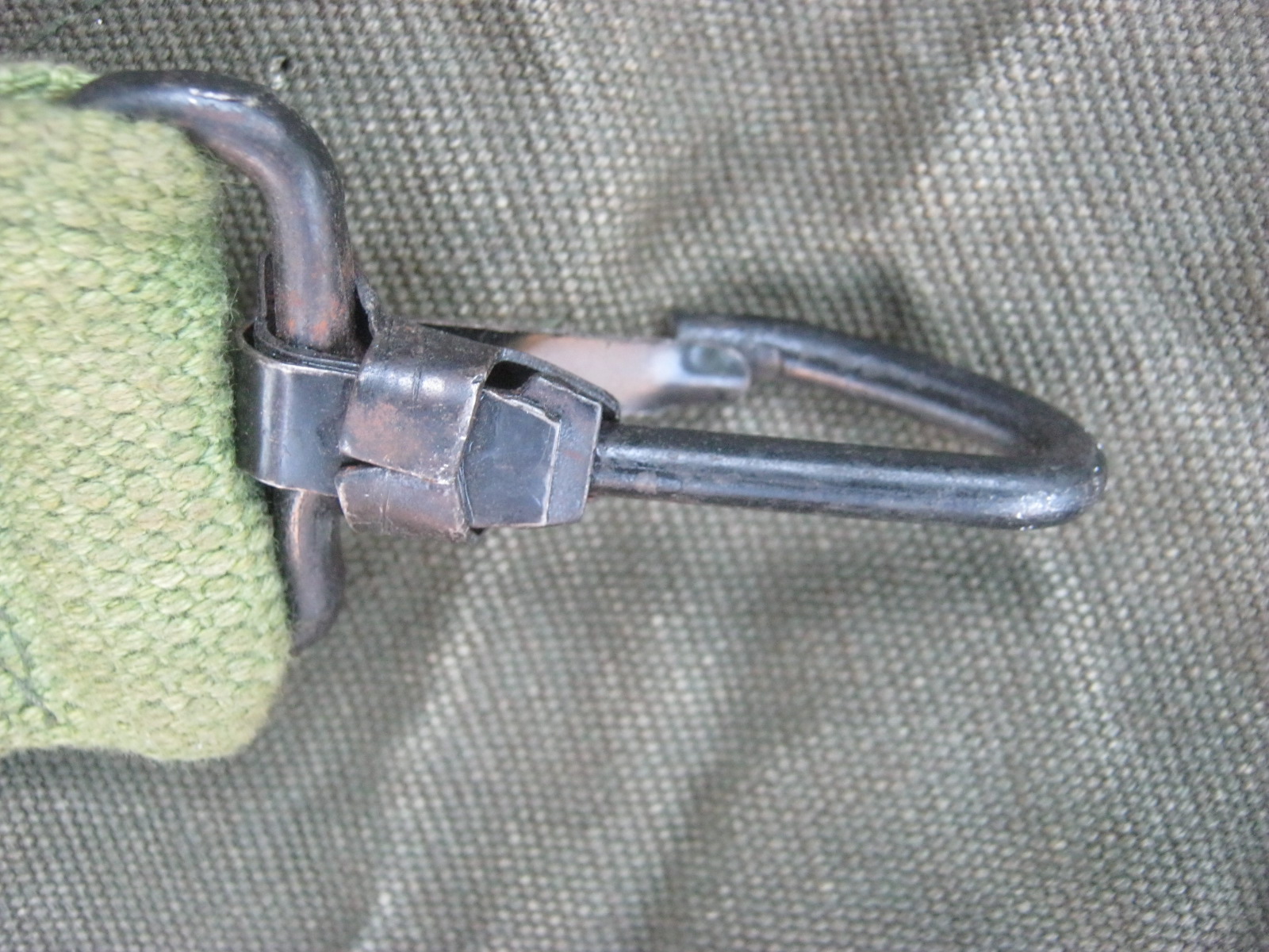 ถุงทะเลยุโรป สะสม