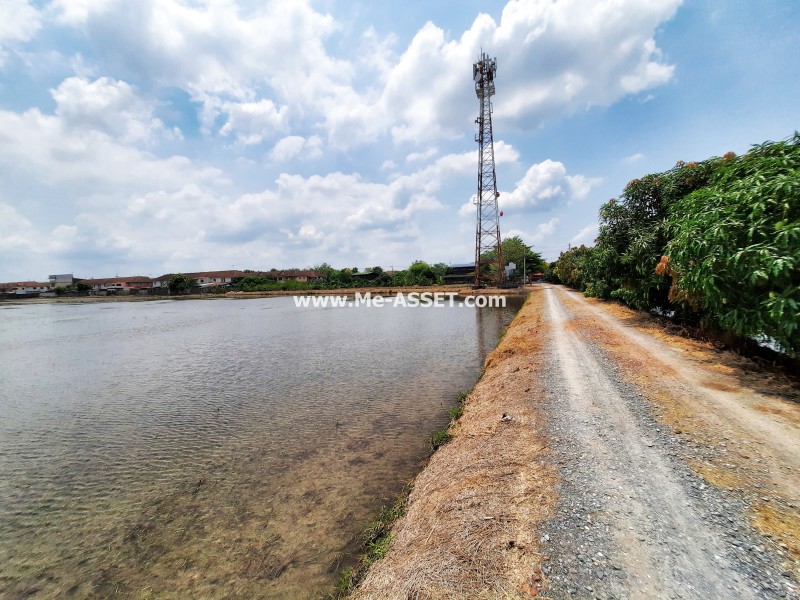 ขายที่ดินเปล่า ถ.เทพนิมิตร-ลานตากฟ้า ซ.ดาวทอง ต.ลานตากฟ้า อ.นครชัยศรี นครปฐม ถูกที่สุดในย่านนี้ / พื้นที่ 6 ไร่