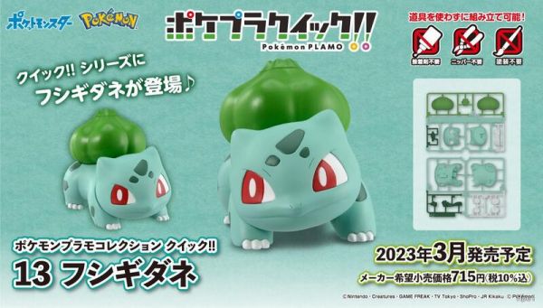 POKEMON PLAMO BULBASAUR