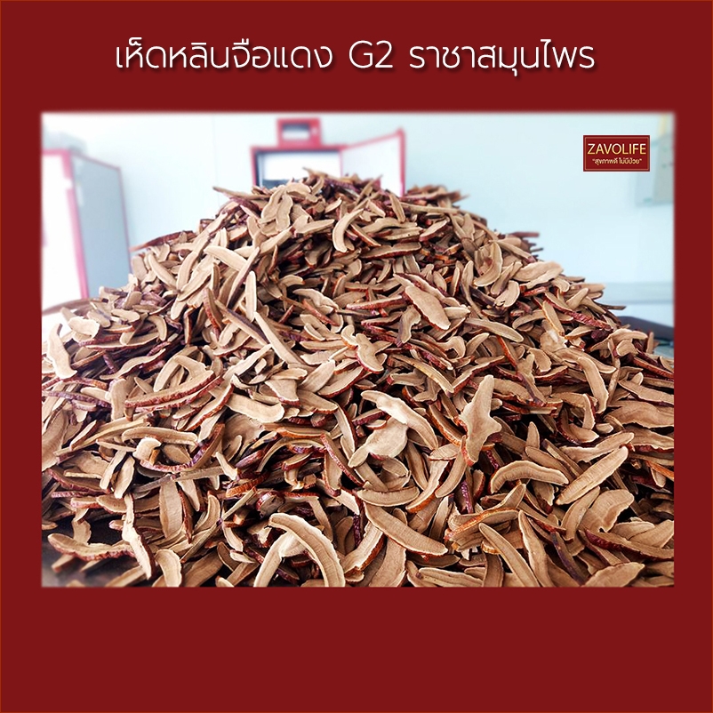 เห็ดหลินจือแดงอบแห้ง ออร์แกนิค(หั่นชิ้น) ช่วยบำรุงตับ ไต ให้ทำงานดีขึ้น(แพ็ค 5 ถุง)