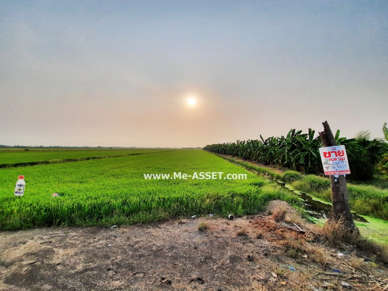 ขายที่ดินเปล่า ถ.บางแก้วฟ้า-ห้วยพลู ต.บางแก้วฟ้า อ.นครชัยศรี นครปฐม / พื้นที่ 15-3-13 ไร่