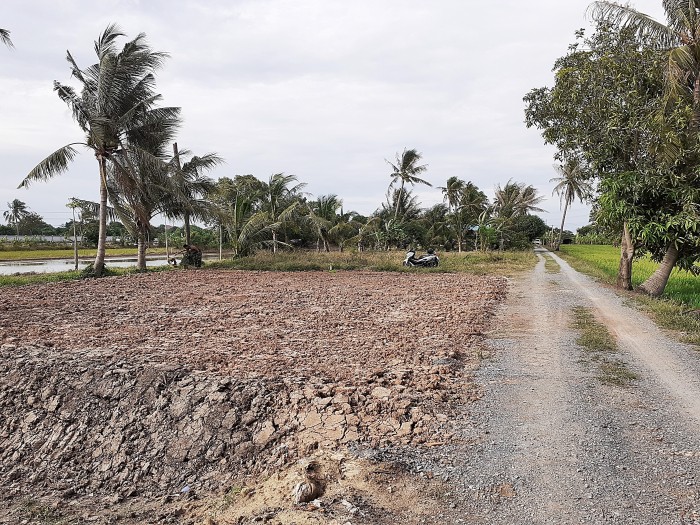 ขายที่ดินถมแล้ว ถ.บ้านกล้วย-ไทรน้อย ต.ไทรน้อย อ.ไทรน้อย นนทบุรี / พื้นที่ 100 ตารางวา