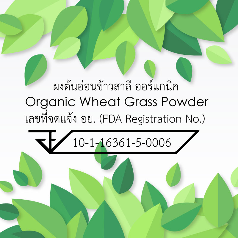 ผงต้นอ่อนข้าวสาลี ผงผัก Organic Wheat Grass Powder ยี่ห้อ Feaga Life 200 กรัม ผง Superfood (ผงผัก ซุปเปอร์ฟู้ด) คุณภาพพรีเมี่ยม