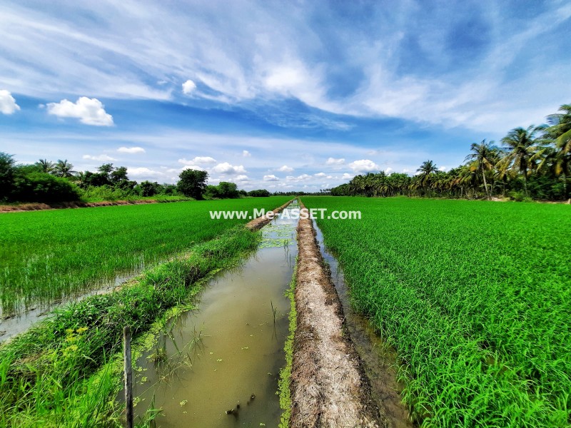 ขายที่ดินพร้อมสิ่งปลูกสร้าง ถ.ศาลายา-นครชัยศรี ต.มหาสวัสดิ์ อ.พุทธมณฑล นครปฐม ใกล้ อบต.มหาสวัสดิ์ / พื้นที่ 32-2-0 ไร่