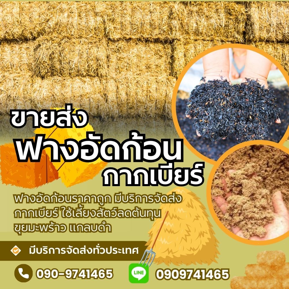 ขายฟางอัดก้อนจังหวัดภูเก็ต