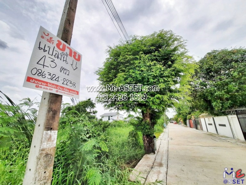 ขายที่ดินเปล่า ย่าน ถนอมมิตร ท่าแร้ง วัชรพล สุขาภิบาล 5, ใกล้ รร.สายอักษร : รามอินทรา 65 แยก 2-6 ซ.บุรุษพัฒน์ 6 : 43 ตร.วา