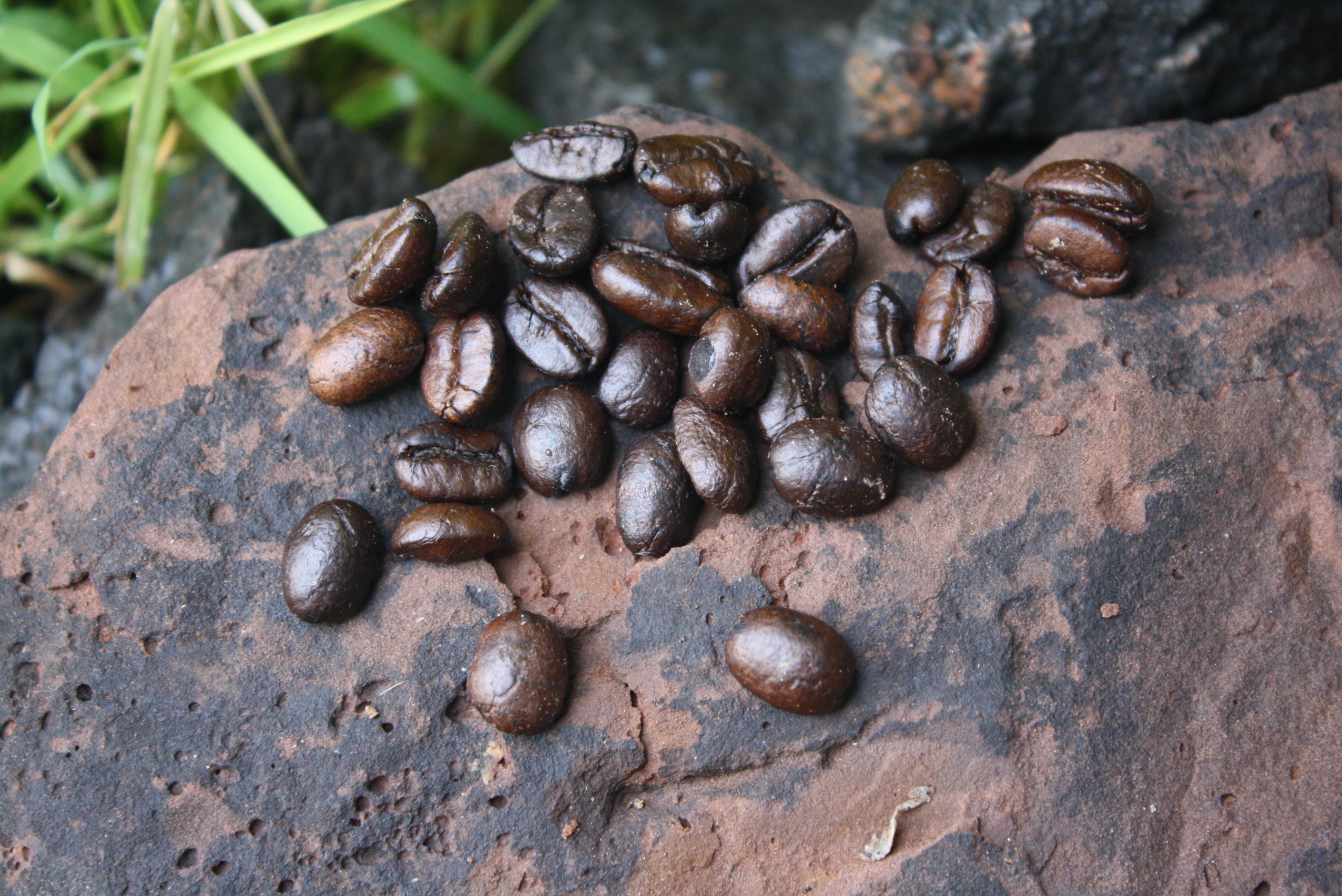 กาแฟเบลน กาแฟไทย กาแฟเพื่อการเดินทางท่องเที่ยว
