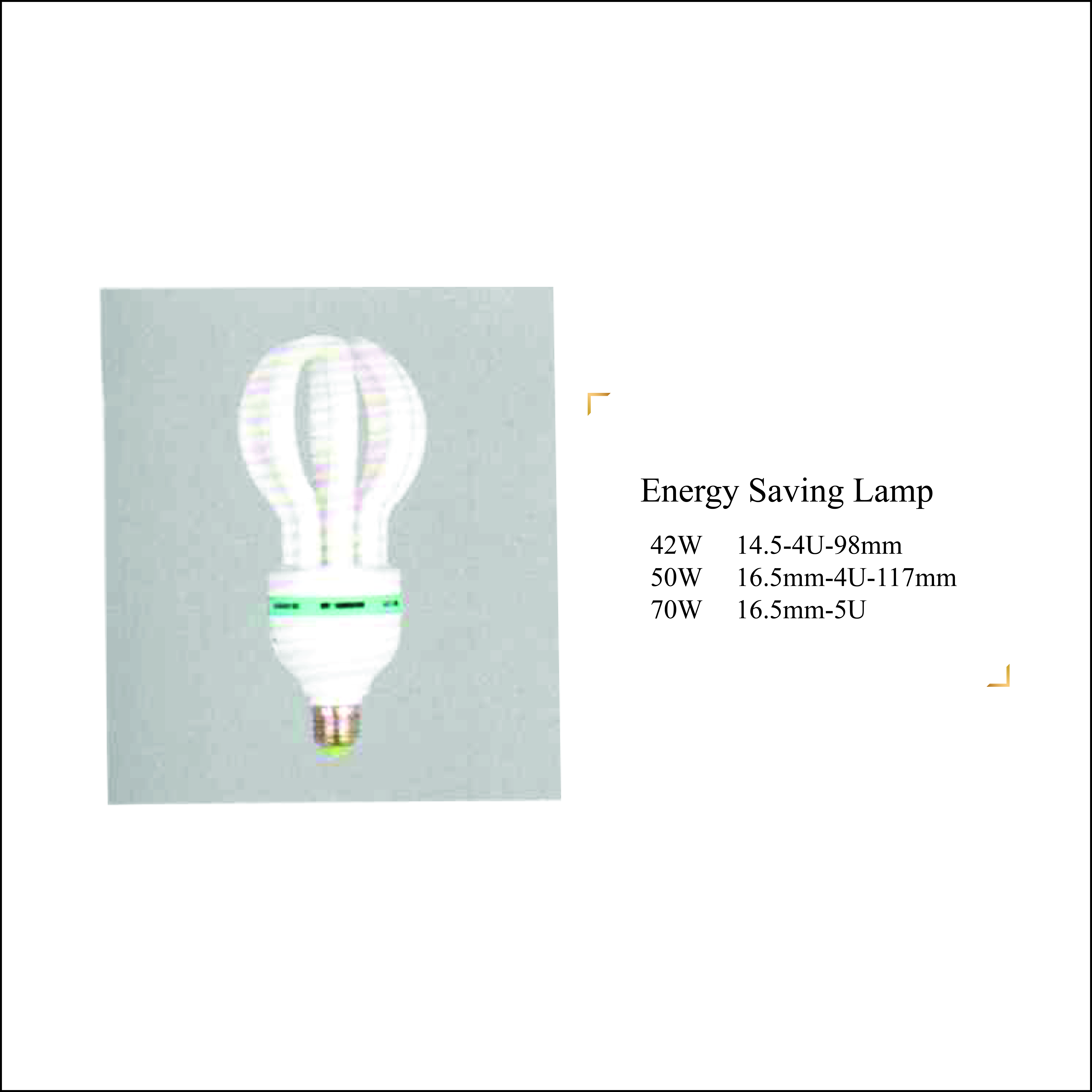 Energy Saving Lamp