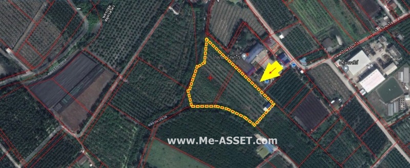 ขายที่ดินเกษตร สวนผสม ถ.บ้านวังนกไข่ ต.หนองนกไข่ อ.กระทุ่มแบน สมุทรสาคร / พื้นที่ 9-1-53 ไร่