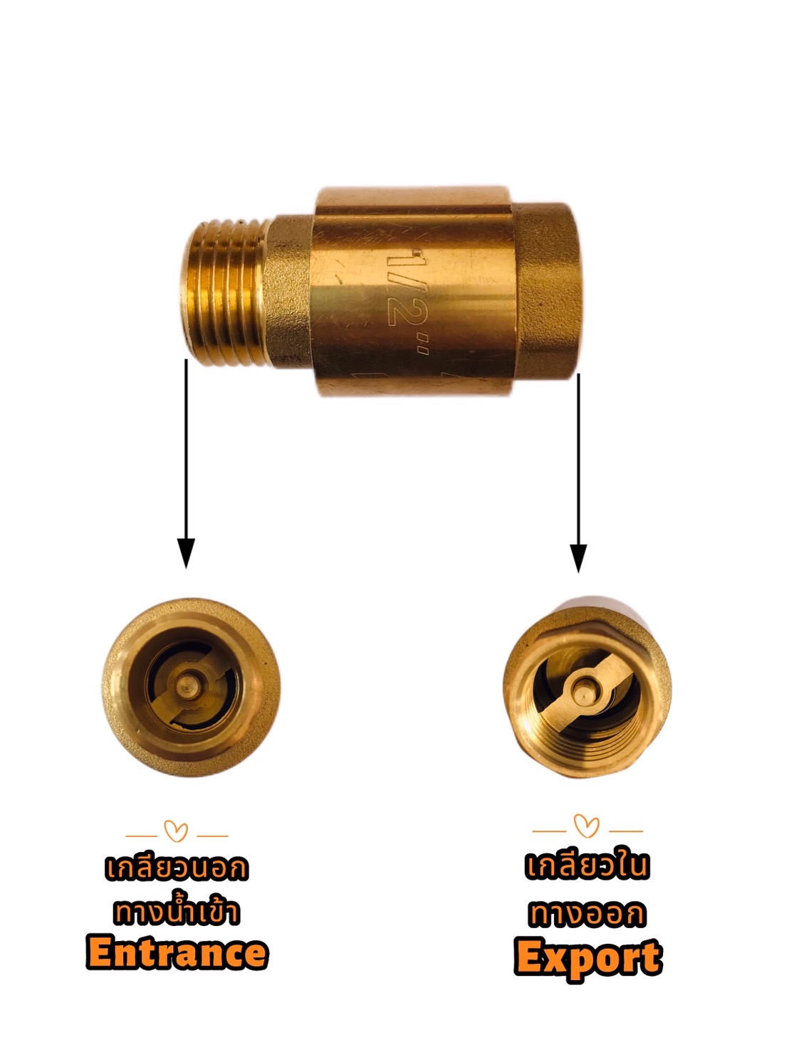 เช็ควาล์วทองเหลือง ขนาด 1/2 นิ้ว เกลียวใน-นอก (น้ำเข้าด้านเกลียวนอก) Brass Check Valve 1/2 inch Female-Male (ThreadInlet pipe, external thread )#00009