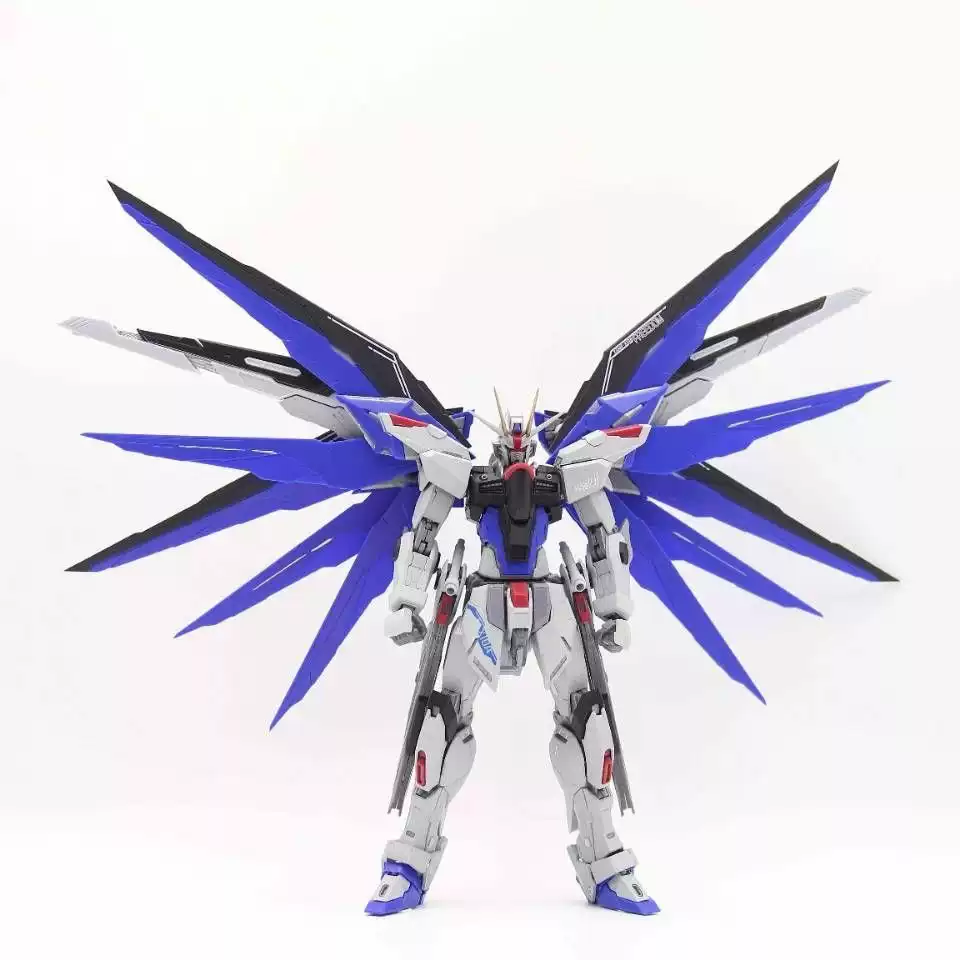 PRE-ORDER 1/100 FREEDOM FIGTHER [SV model]